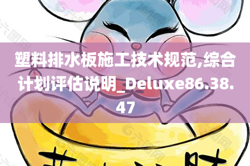 塑料排水板施工技术规范,综合计划评估说明_Deluxe86.38.47