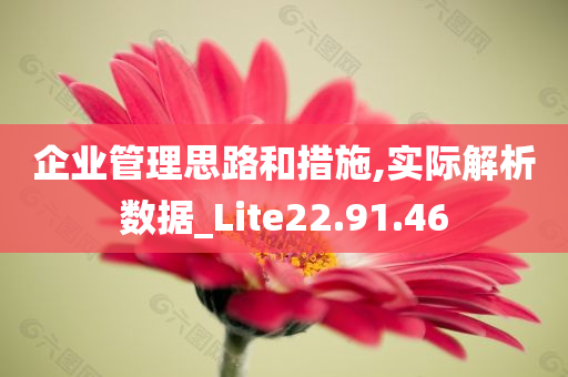 企业管理思路和措施,实际解析数据_Lite22.91.46