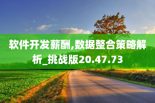 软件开发薪酬,数据整合策略解析_挑战版20.47.73