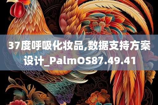 37度呼吸化妆品,数据支持方案设计_PalmOS87.49.41