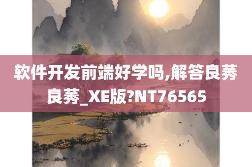 软件开发前端好学吗,解答良莠良莠_XE版?NT76565