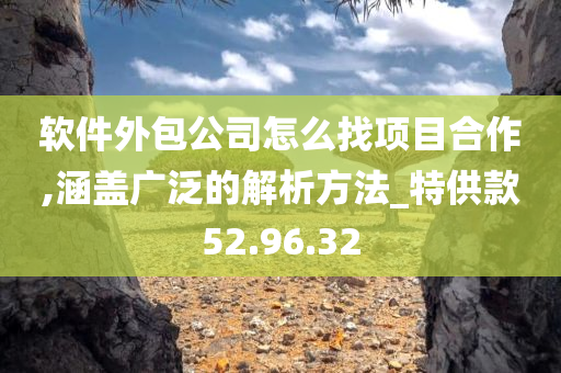 软件外包公司怎么找项目合作,涵盖广泛的解析方法_特供款52.96.32