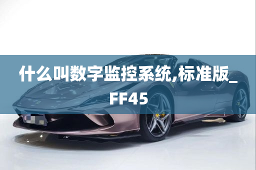 什么叫数字监控系统,标准版_FF45