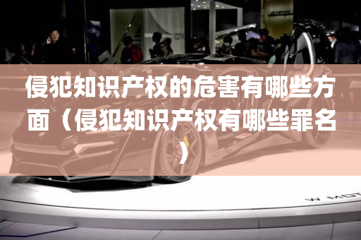 侵犯知识产权的危害有哪些方面（侵犯知识产权有哪些罪名）