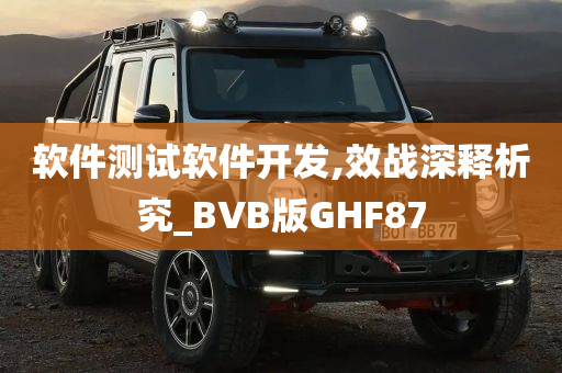 软件测试软件开发,效战深释析究_BVB版GHF87