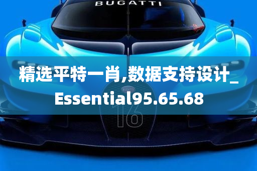 精选平特一肖,数据支持设计_Essential95.65.68