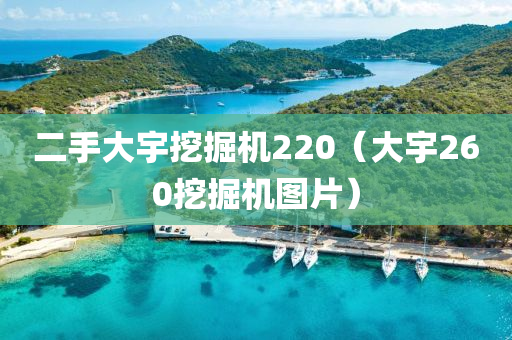 二手大宇挖掘机220（大宇260挖掘机图片）