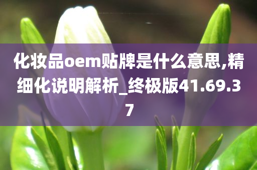 化妆品oem贴牌是什么意思,精细化说明解析_终极版41.69.37