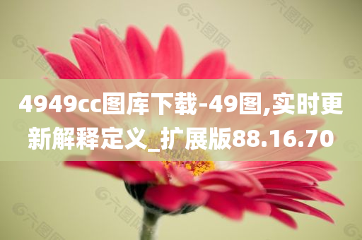 4949cc图库下载-49图,实时更新解释定义_扩展版88.16.70