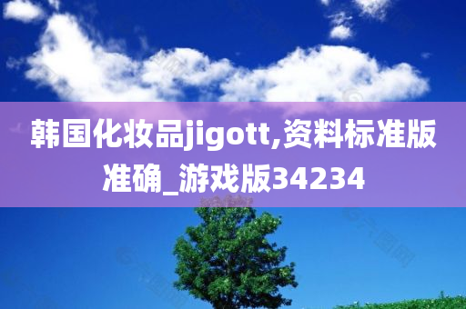 韩国化妆品jigott,资料标准版准确_游戏版34234