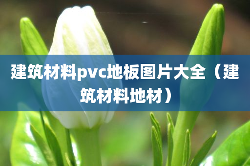 建筑材料pvc地板图片大全（建筑材料地材）