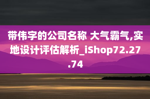 带伟字的公司名称 大气霸气,实地设计评估解析_iShop72.27.74