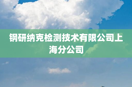 钢研纳克检测技术有限公司上海分公司