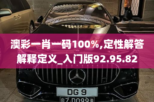 澳彩一肖一码100%,定性解答解释定义_入门版92.95.82