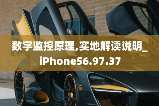 数字监控原理,实地解读说明_iPhone56.97.37