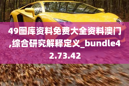 49图库资料免费大全资料澳门,综合研究解释定义_bundle42.73.42