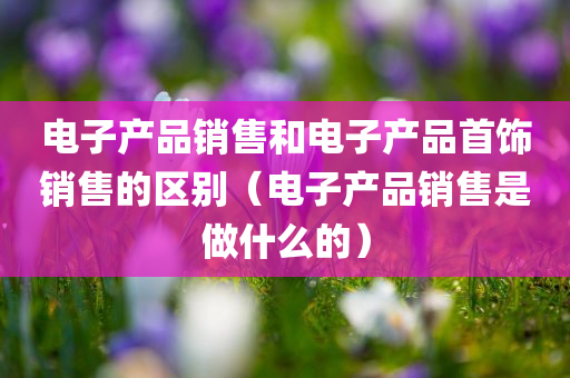 电子产品销售和电子产品首饰销售的区别（电子产品销售是做什么的）