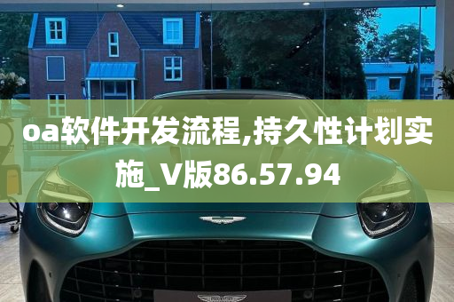 oa软件开发流程,持久性计划实施_V版86.57.94