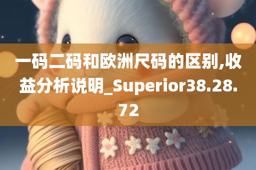 一码二码和欧洲尺码的区别,收益分析说明_Superior38.28.72