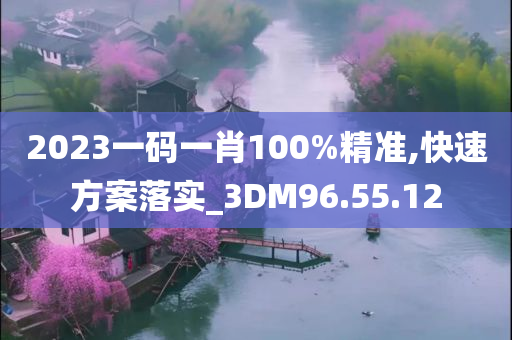 2023一码一肖100%精准,快速方案落实_3DM96.55.12