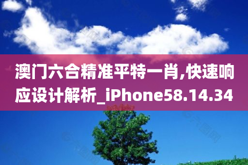 澳门六合精准平特一肖,快速响应设计解析_iPhone58.14.34