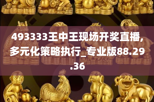 493333王中王现场开奖直播,多元化策略执行_专业版88.29.36