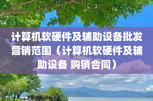 计算机软硬件及辅助设备批发营销范围（计算机软硬件及辅助设备 购销合同）