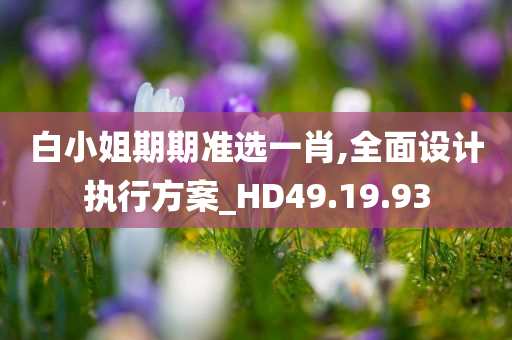 白小姐期期准选一肖,全面设计执行方案_HD49.19.93