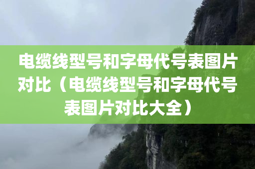 电缆线型号和字母代号表图片对比（电缆线型号和字母代号表图片对比大全）