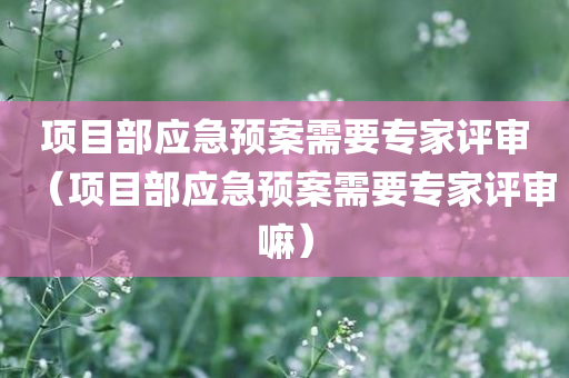 项目部应急预案需要专家评审（项目部应急预案需要专家评审嘛）