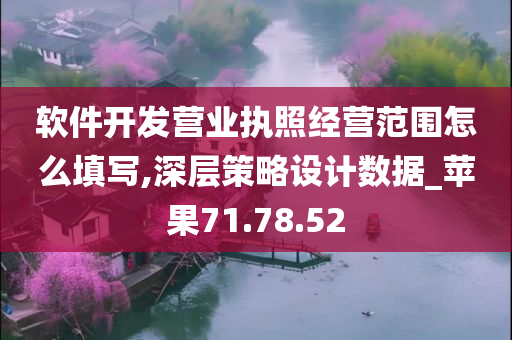 软件开发营业执照经营范围怎么填写,深层策略设计数据_苹果71.78.52