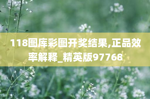 118图库彩图开奖结果,正品效率解释_精英版97768