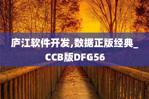 庐江软件开发,数据正版经典_CCB版DFG56