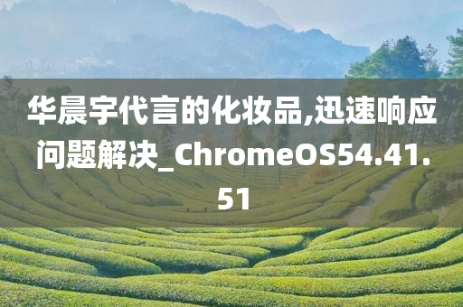 华晨宇代言的化妆品,迅速响应问题解决_ChromeOS54.41.51