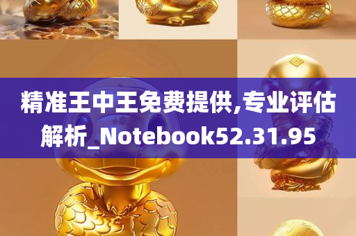 精准王中王免费提供,专业评估解析_Notebook52.31.95