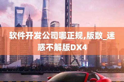 软件开发公司哪正规,版数_迷惑不解版DX4