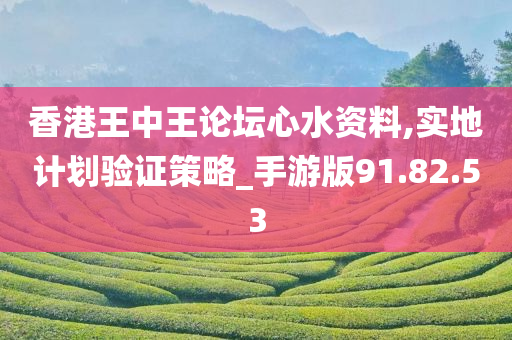 香港王中王论坛心水资料,实地计划验证策略_手游版91.82.53