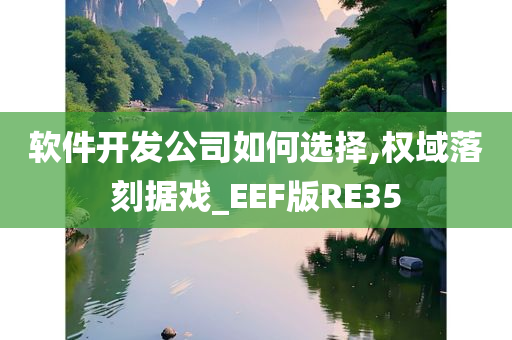 软件开发公司如何选择,权域落刻据戏_EEF版RE35