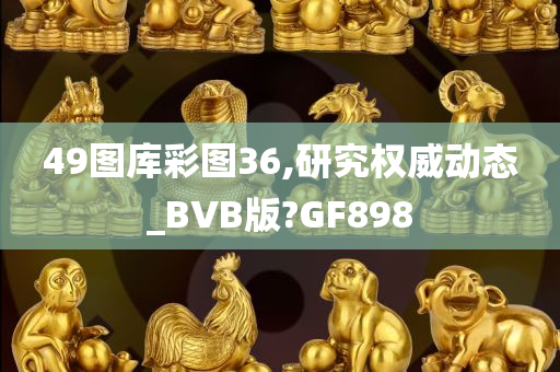 49图库彩图36,研究权威动态_BVB版?GF898