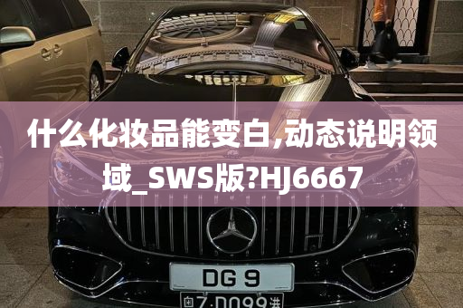 什么化妆品能变白,动态说明领域_SWS版?HJ6667