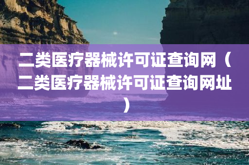 二类医疗器械许可证查询网（二类医疗器械许可证查询网址）