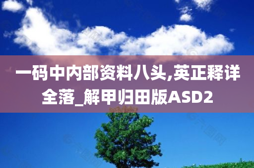 一码中内部资料八头,英正释详全落_解甲归田版ASD2