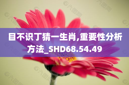 目不识丁猜一生肖,重要性分析方法_SHD68.54.49