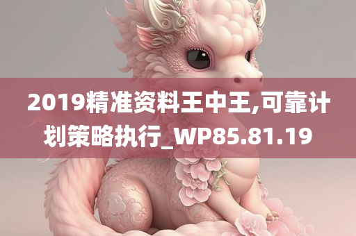 2019精准资料王中王,可靠计划策略执行_WP85.81.19