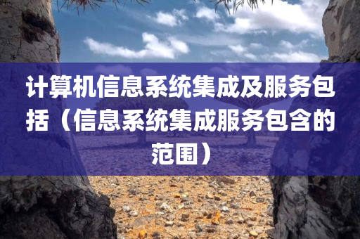 计算机信息系统集成及服务包括（信息系统集成服务包含的范围）