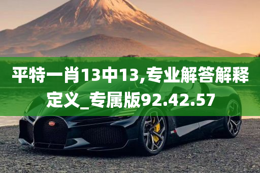 平特一肖13中13,专业解答解释定义_专属版92.42.57