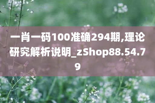 一肖一码100准确294期,理论研究解析说明_zShop88.54.79