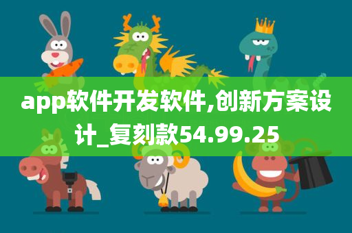 app软件开发软件,创新方案设计_复刻款54.99.25