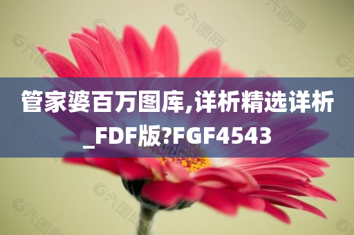 管家婆百万图库,详析精选详析_FDF版?FGF4543