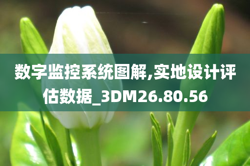 数字监控系统图解,实地设计评估数据_3DM26.80.56